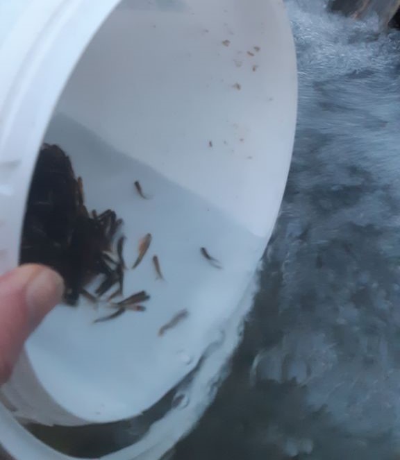 threema-20230404-212221392_1