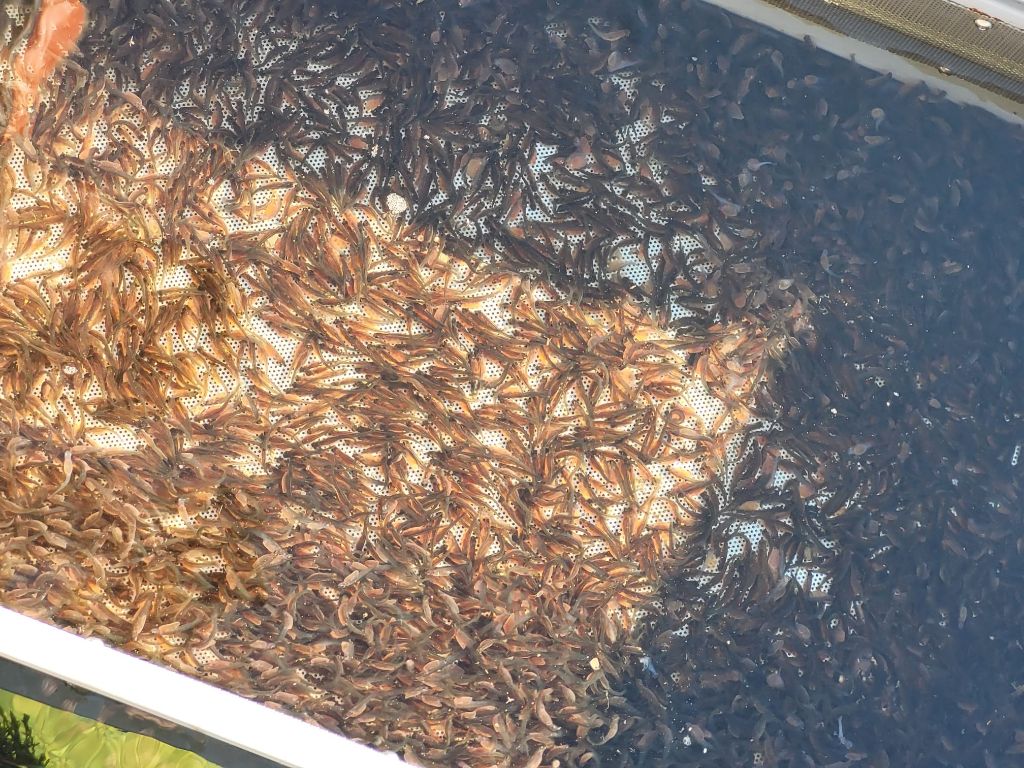 threema-20230404-212227396