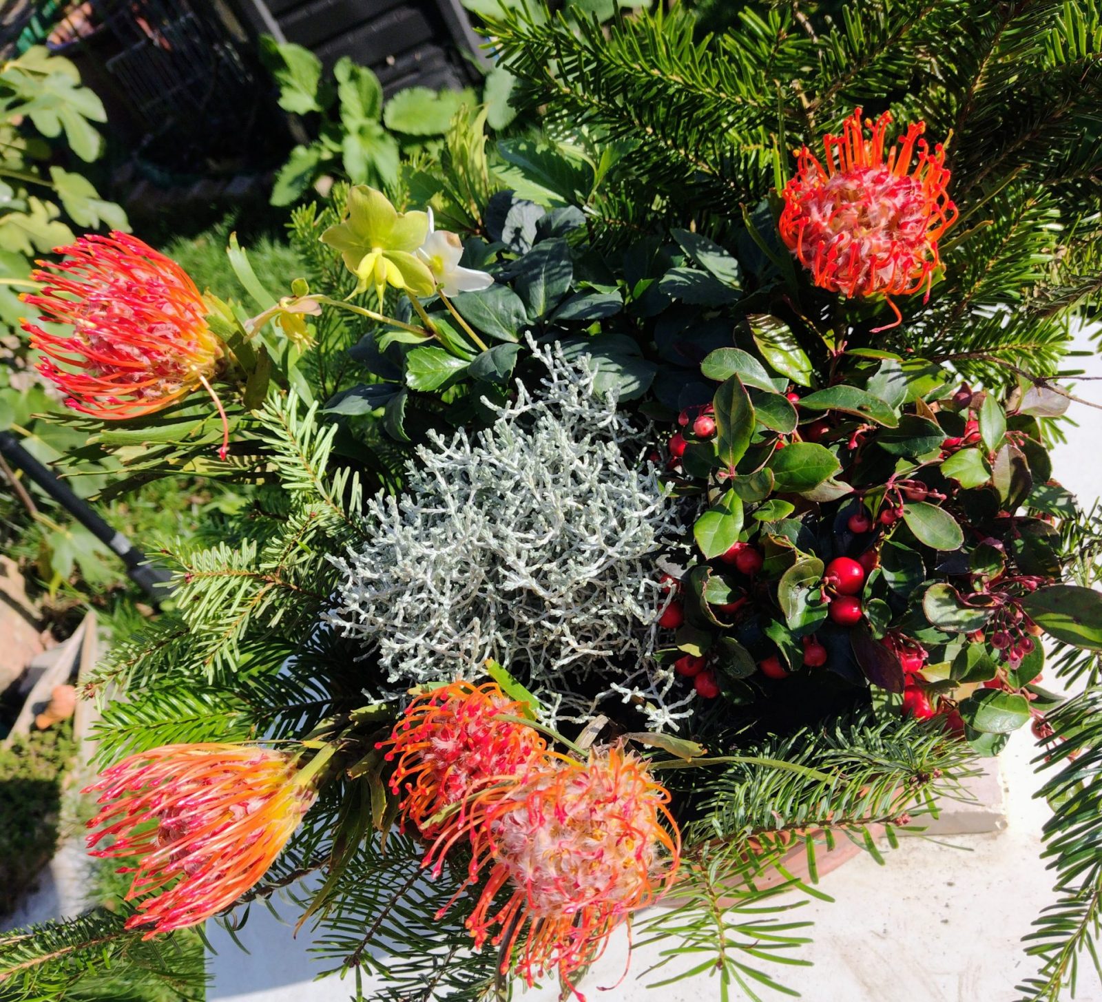 .trashed-1670725030-IMG_20221110_124541566