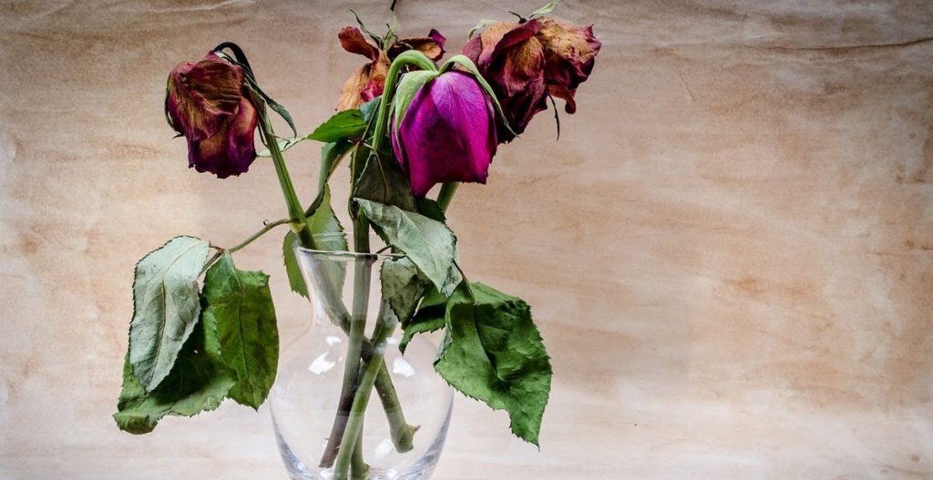 Trauersprüche für Anzeigen