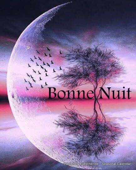 tropical_becher_2_personen_10