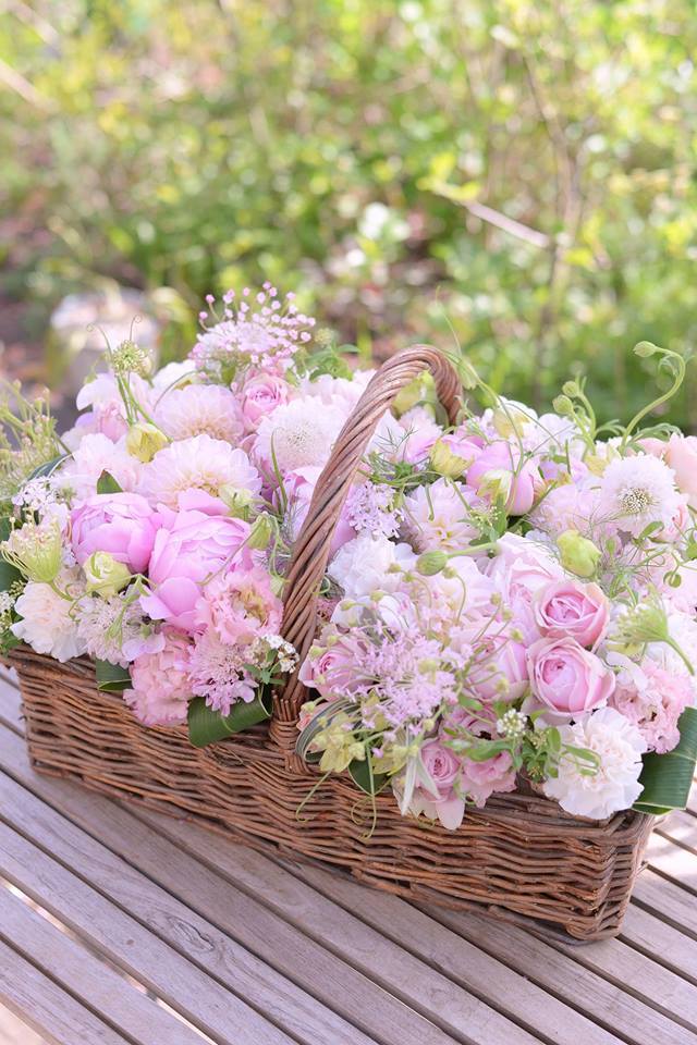 tumblr_o600qo7qaG1u1it9ao1_640