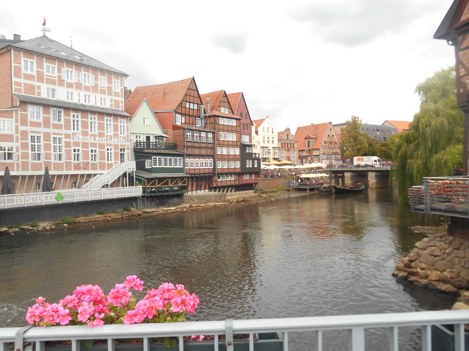 urlaub 2018 Lüneburgerheide August 007