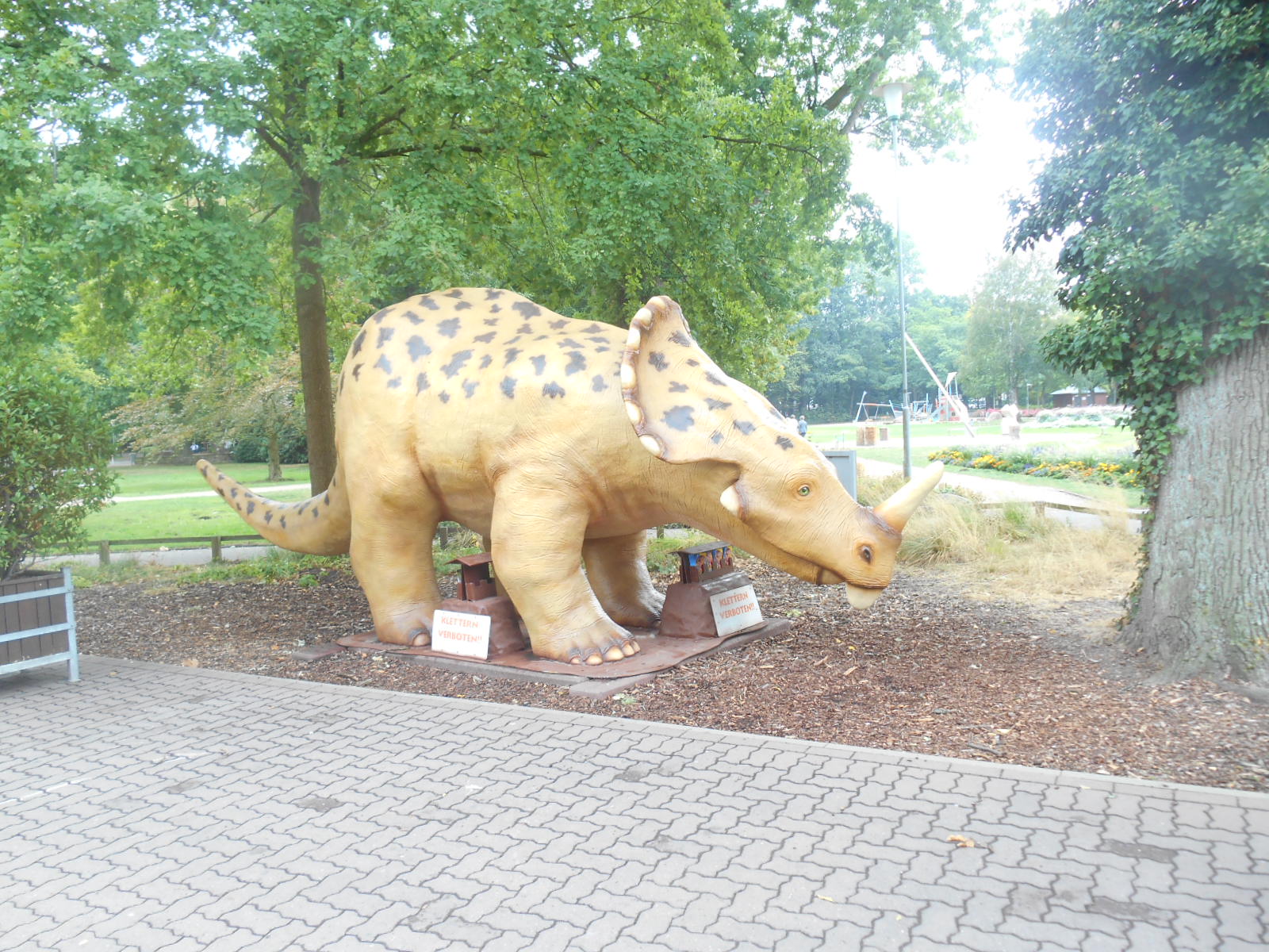 urlaub 2018 Lüneburgerheide August 035