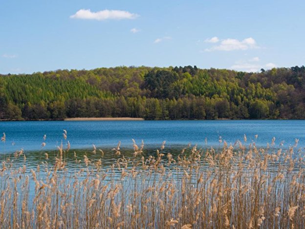 urn-newsml-dpa-com-20090101-160607-99-220151_large_4_3.jpg Werbellinsee