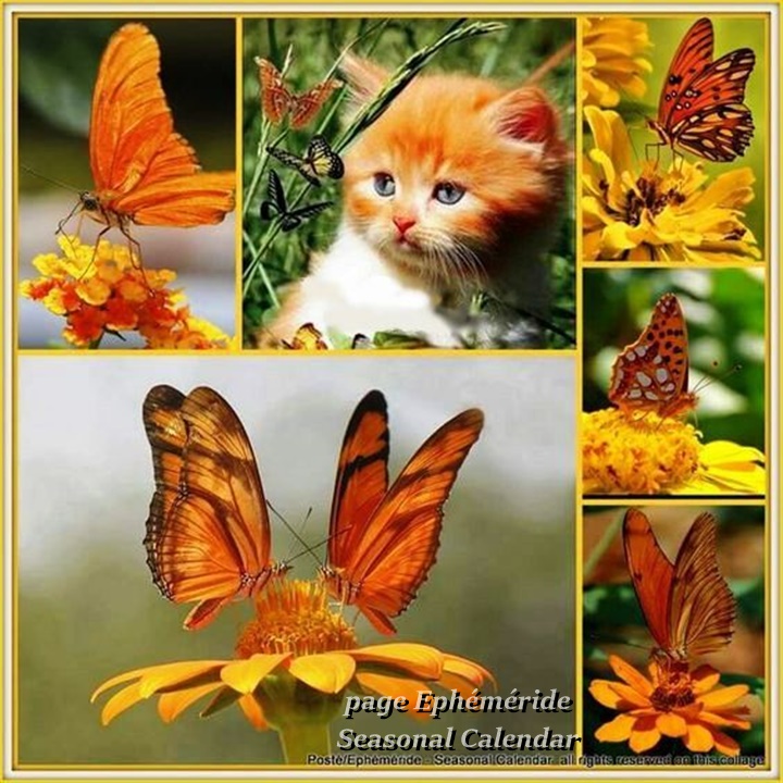 w940_h528_x470_y264_54496ecb60172b6e