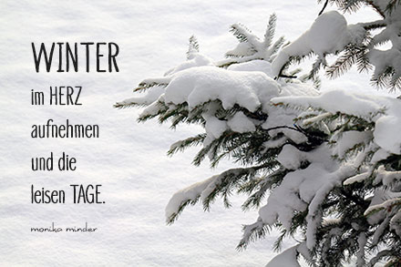 winterimherz-schneebedecktetanne