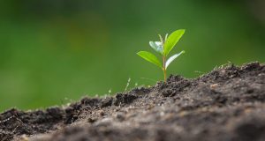 Gute Wünsche für die Zukunft