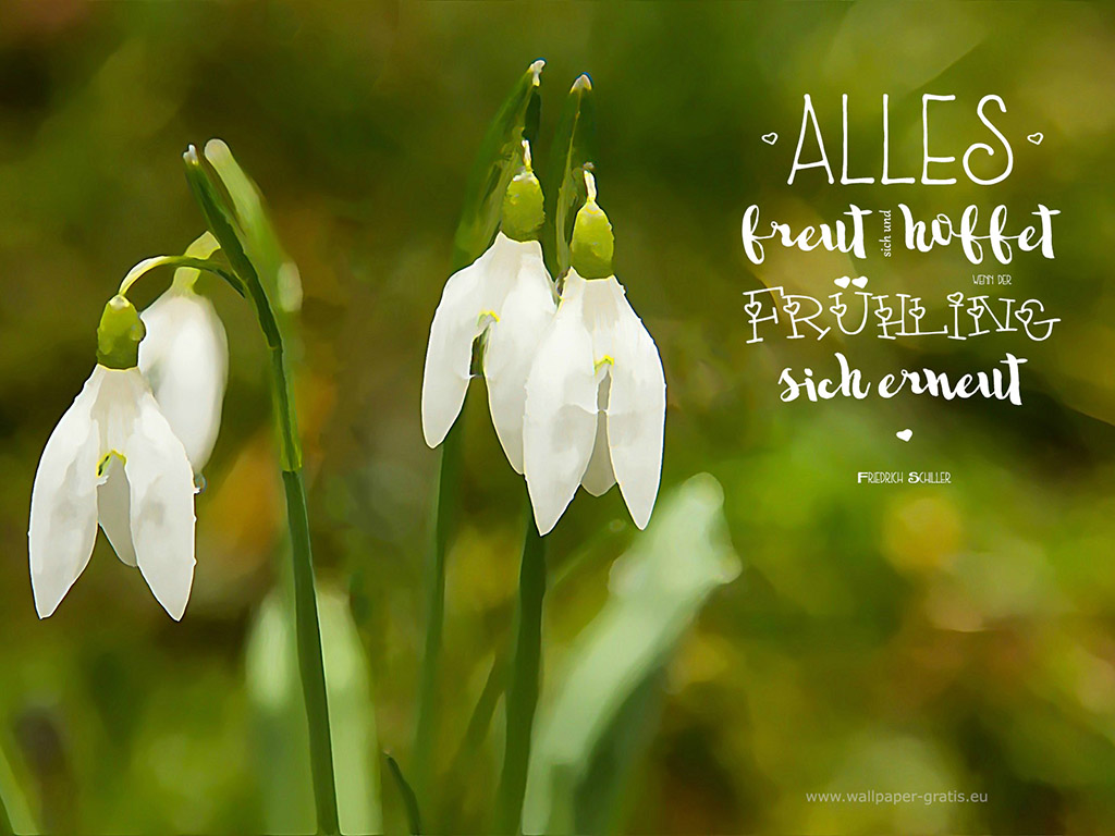 Frühlings-Zitat